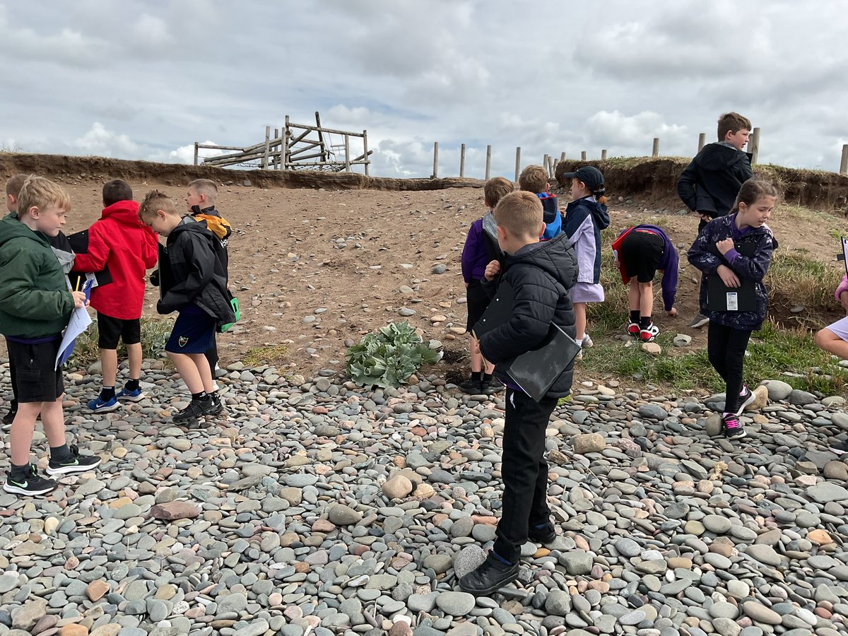 Miss Wren (@cwrswjs) on Twitter photo A great morning studying erosion on our coastline. A super way to finish our Geography topic!
<a href="/mmcdatswjs/">Mrs Atkinson</a>
<a href="/swalneyj/">South Walney Juniors</a> A great morning studying erosion on our coastline. A super way to finish our Geography topic!
<a href="/mmcdatswjs/">Mrs Atkinson</a>
<a href="/swalneyj/">South Walney Juniors</a>