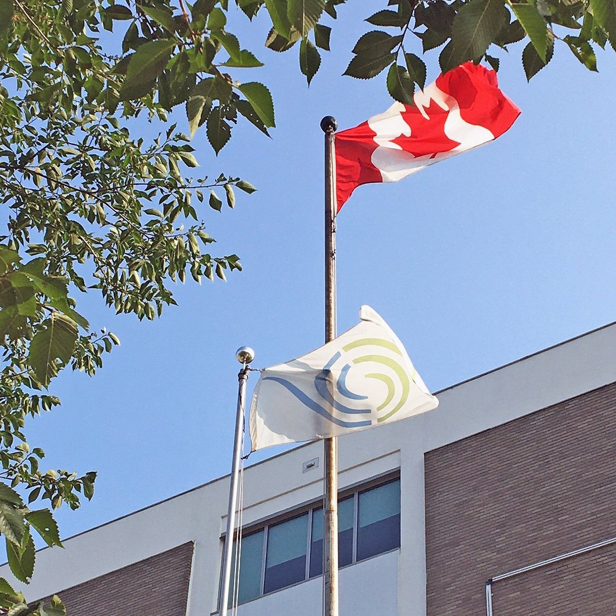 Gift of Life flag is flying today. Raised in tribute to the donor & only flown after a gift of life has been offered to help others in need. #thankyou