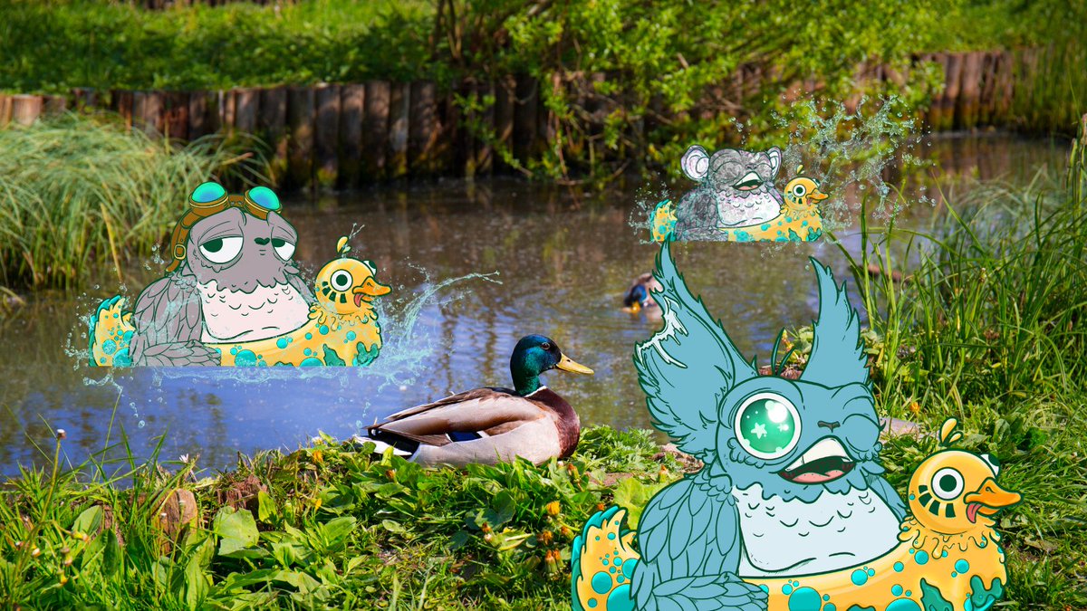 GM Solana🌞

If it floats, its a duck🦆 

How is everyone staying cool this summer?