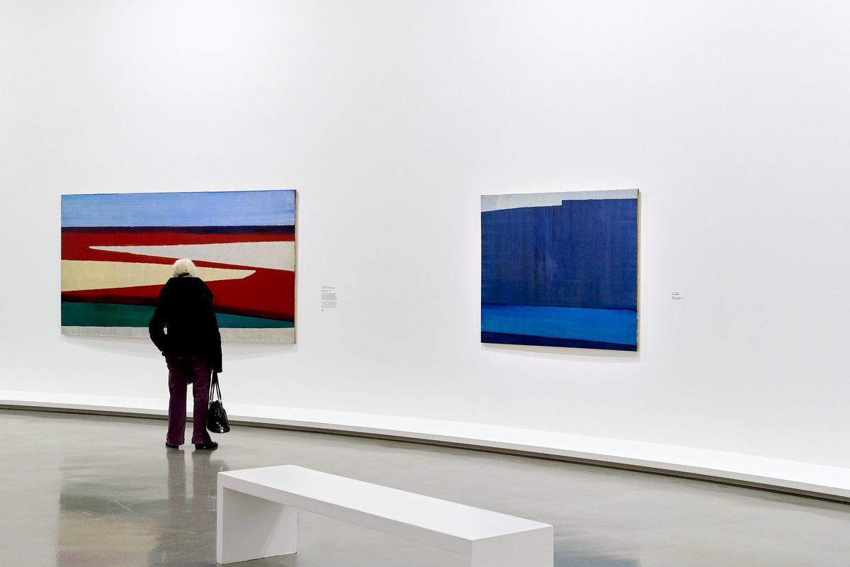 🎬 Clap de fin pour l'#expoBergman !  

Merci à tous les visiteurs venus découvrir une artiste unique dans l'histoire de la peinture d'après-guerre.  

Un grand merci à la Fondation Hartung-Bergman d'avoir rendu possible cette exposition.