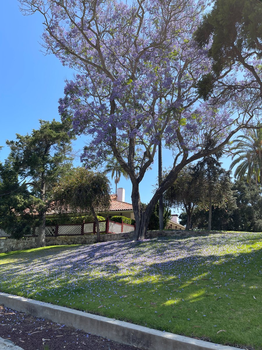 SEASIDECHIC 👵🏻🩴🌊 🌴 🇺🇦🇺🇸 tweet media