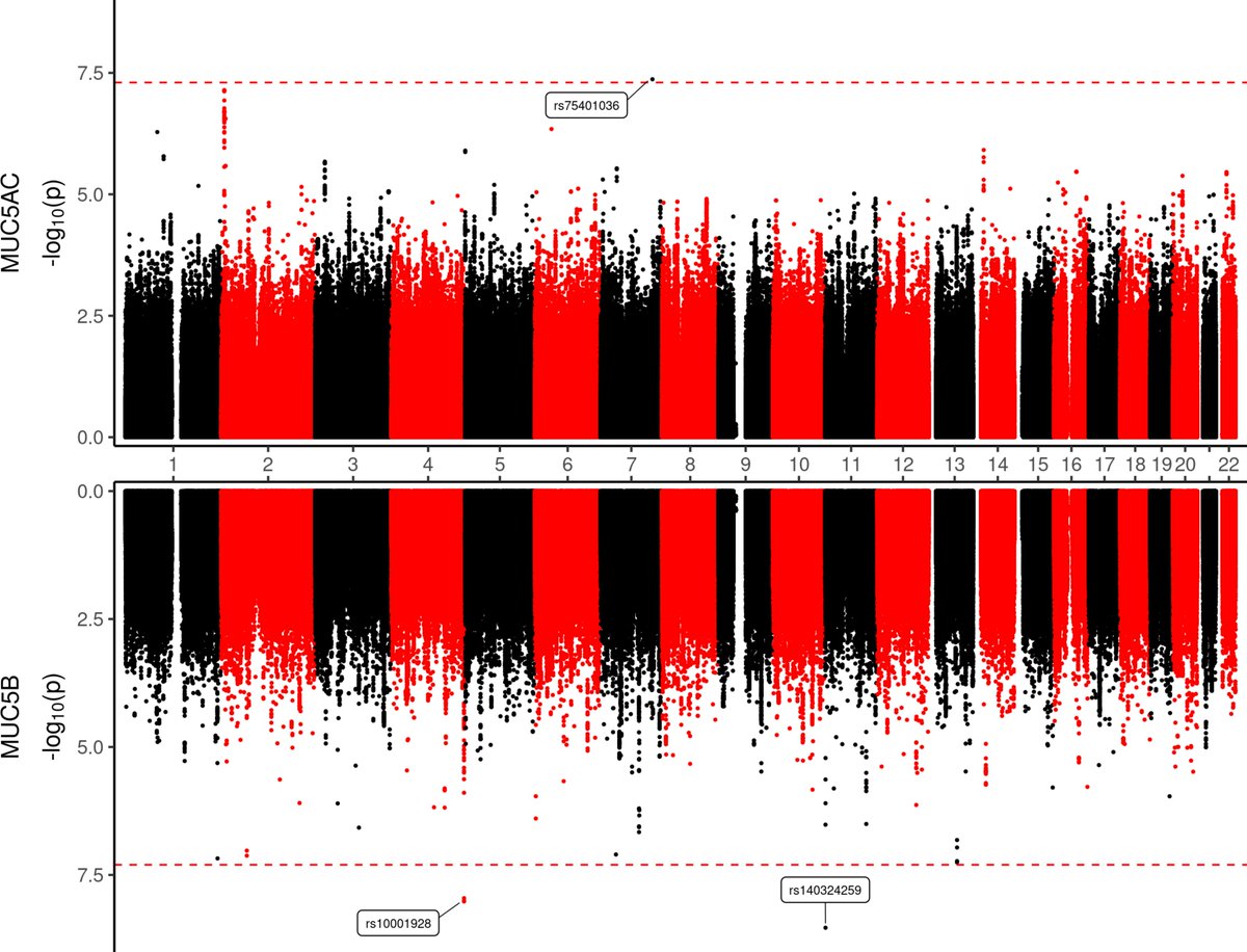 PLOSGenetics's tweet photo. 🫁🔬 This recent study uncovers genetic variants influencing sputum mucin concentrations in obstructive lung diseases like COPD: https://t.co/PrsjGUwZ1X
#Genetics #COPDResearch https://t.co/zsu0trrpZq