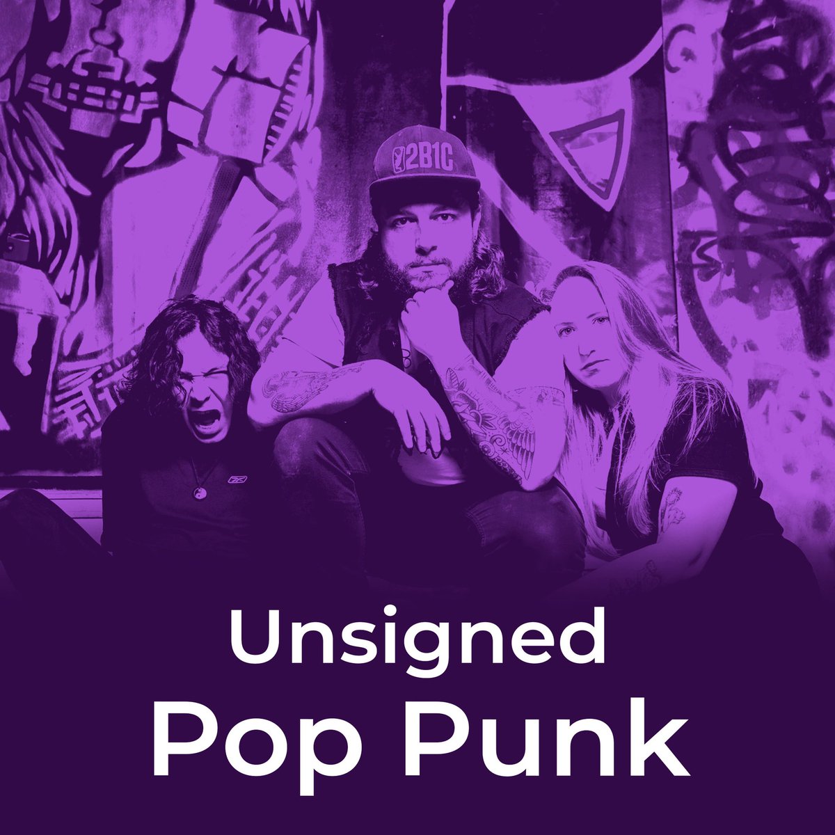 unsignedpoppunk tweet media