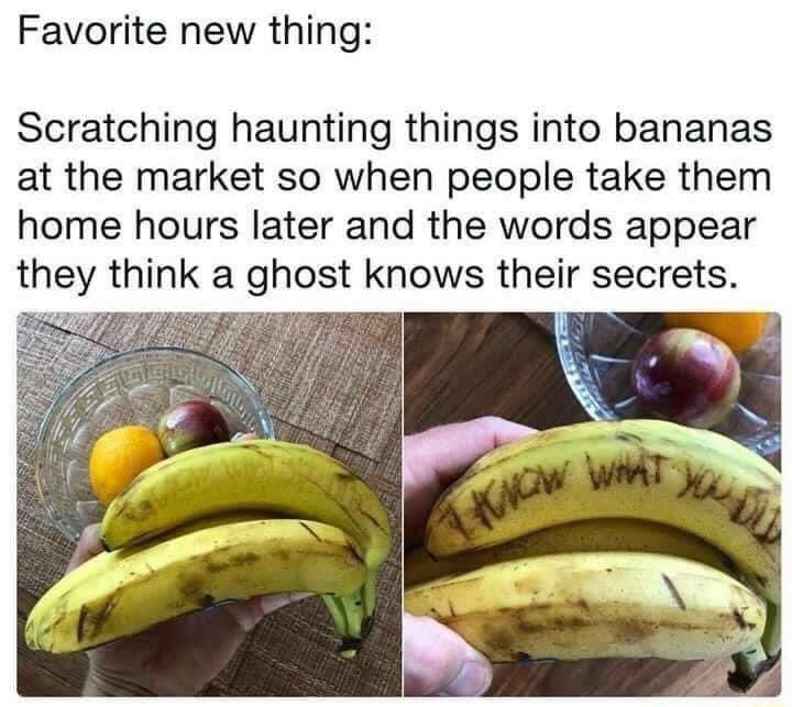 tylerstapes's tweet photo. I would absolutely have a heart attack… https://t.co/lLmAMHunKt