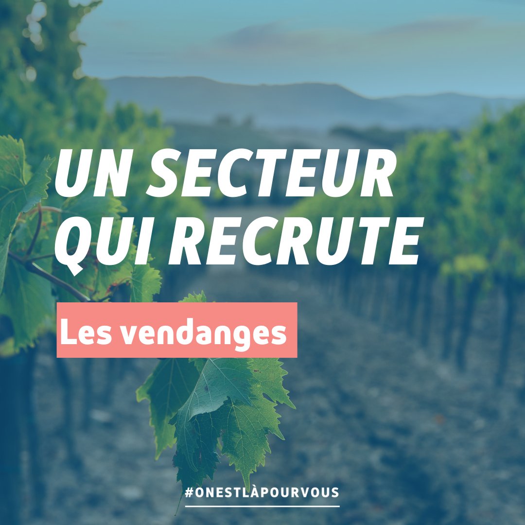 France Travail Auvergne-Rhône-Alpes tweet media