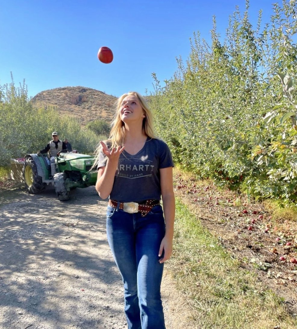 SugarBeeApple's tweet photo. These apples have been carefully picked and shipped to a store near you! 🍎 ❤️ #FromBeeToYou @kaitlynjillthornton https://t.co/zU4jAkulxe