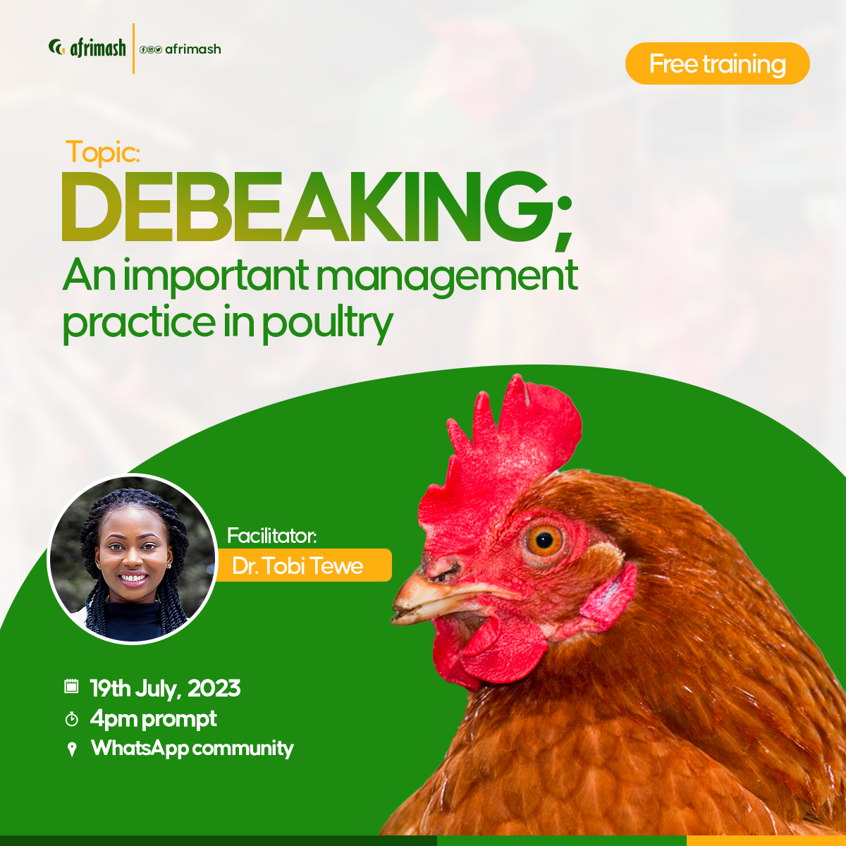 afrimash's tweet image. Are you a poultry enthusiast or farmer looking to take your poultry management skills to new heights? Unlock the secrets to optimal poultry care with our exclusive training. 
 Limited seats available – Click afrimash.com/free-training to register today!

#PoultryManagement