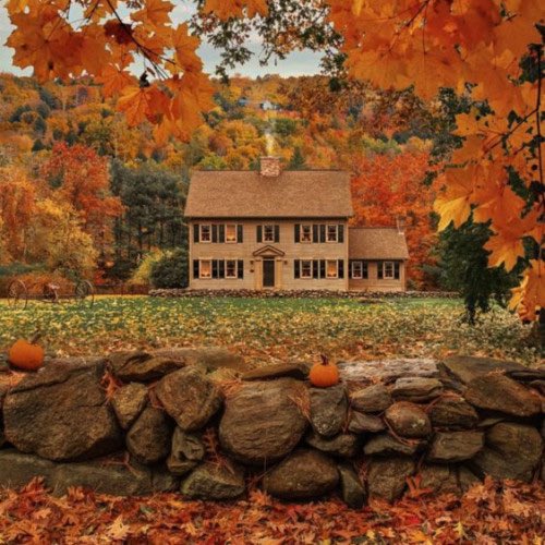 aperfectpumpkin's tweet photo. October mood board https://t.co/gIbP8RPxAD