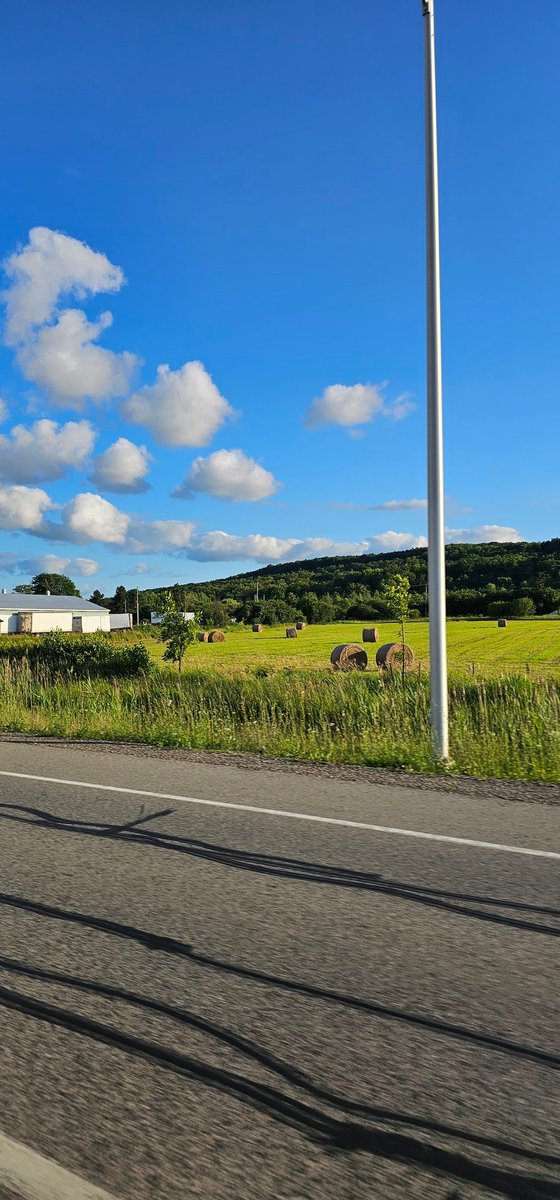 sfaruque12's tweet photo. Grateful for another beautiful day. 

#mondaymood #mondaymotivation https://t.co/xoRWiV1iUH