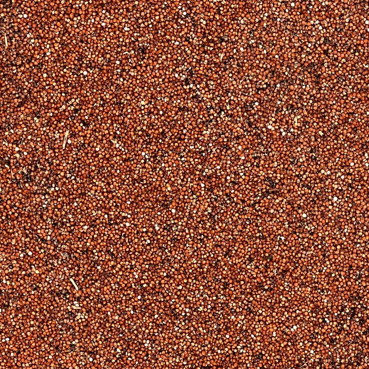 dustofgrains's tweet photo. Beneficios del sorgo https://t.co/sztZYUy2Pf