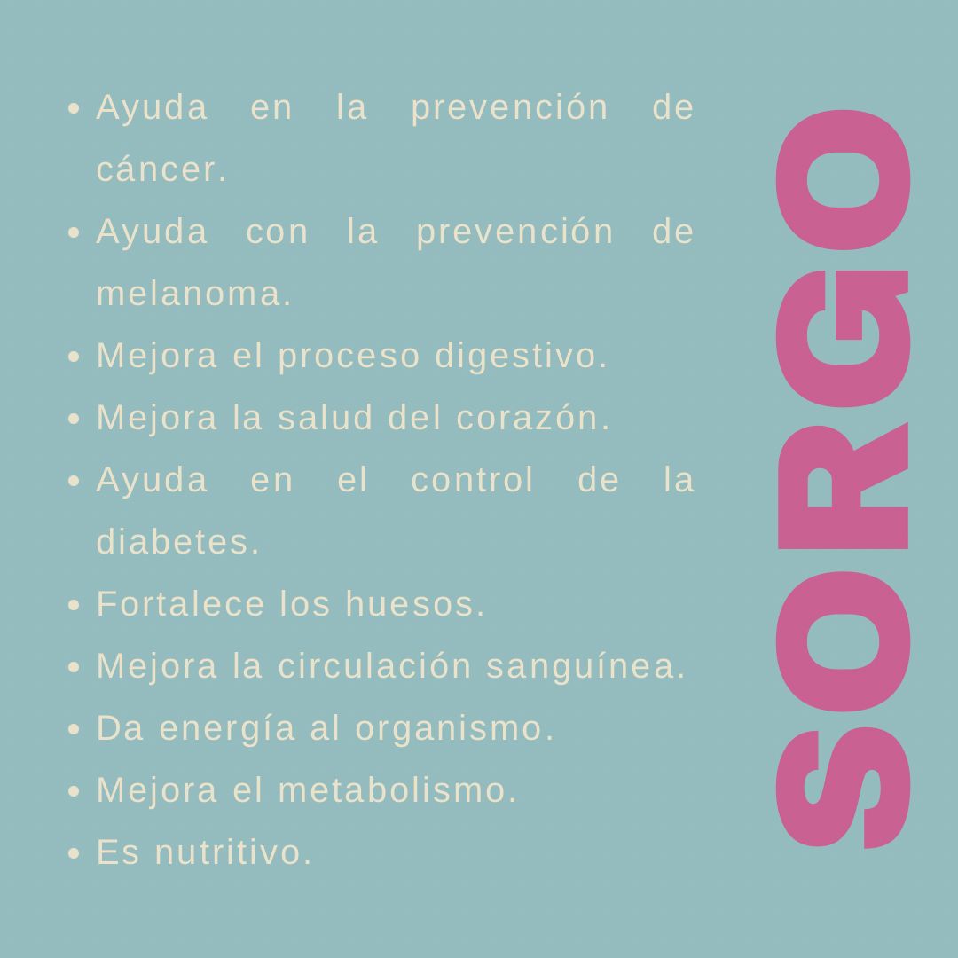 dustofgrains's tweet photo. Beneficios del sorgo https://t.co/sztZYUy2Pf