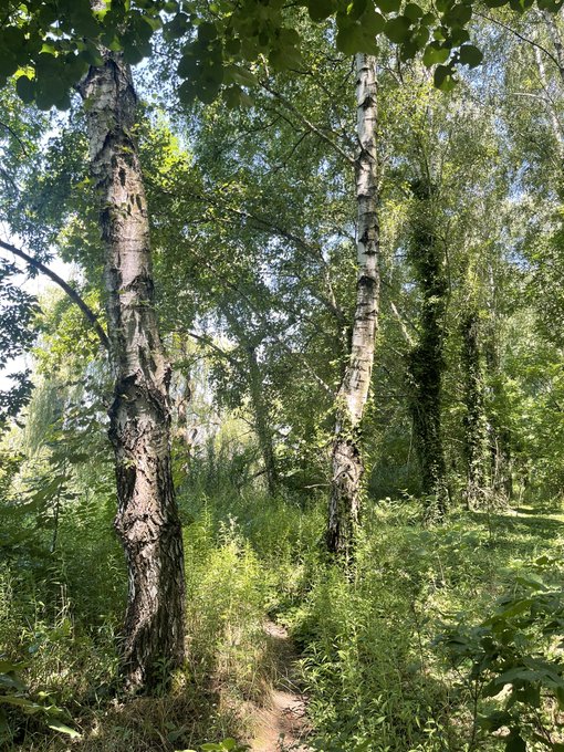 I&rsquo;m a nature lover 😍💚🥰 and what about you? 😛 https://t.co/GqWIH1u9C3<a href="/tag/gym"class="tags"><span>#gym</span></a><a href="/tag/fitnesslifestyle"class="tags"><span>#fitnesslifestyle</span></a><a href="/tag/natalygold"class="tags"><span>#natalygold</span></a>