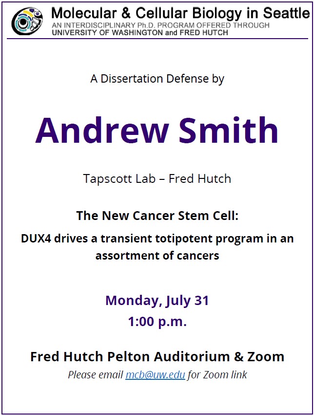 Join us for Andrew Smith’s dissertation defense!
Title: The New Cancer Stem Cell: DUX4 drives a transient totipotent program in an assortment of cancers
Lab: Tapscott Lab, FH
When: Monday, July 31, 1:00 pm PDT
Where: Fred Hutch Pelton Auditorium & Zoom (email mcb@uw.edu for link)