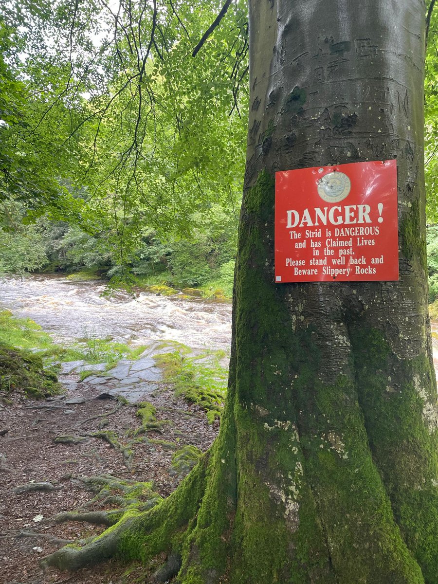 jonathanbargh's tweet photo. Me, Lisa and Juno survived The world’s most deadly stretch of river. Rock hard. 
https://t.co/8ClRYaxjnj https://t.co/18mx3hSoLU