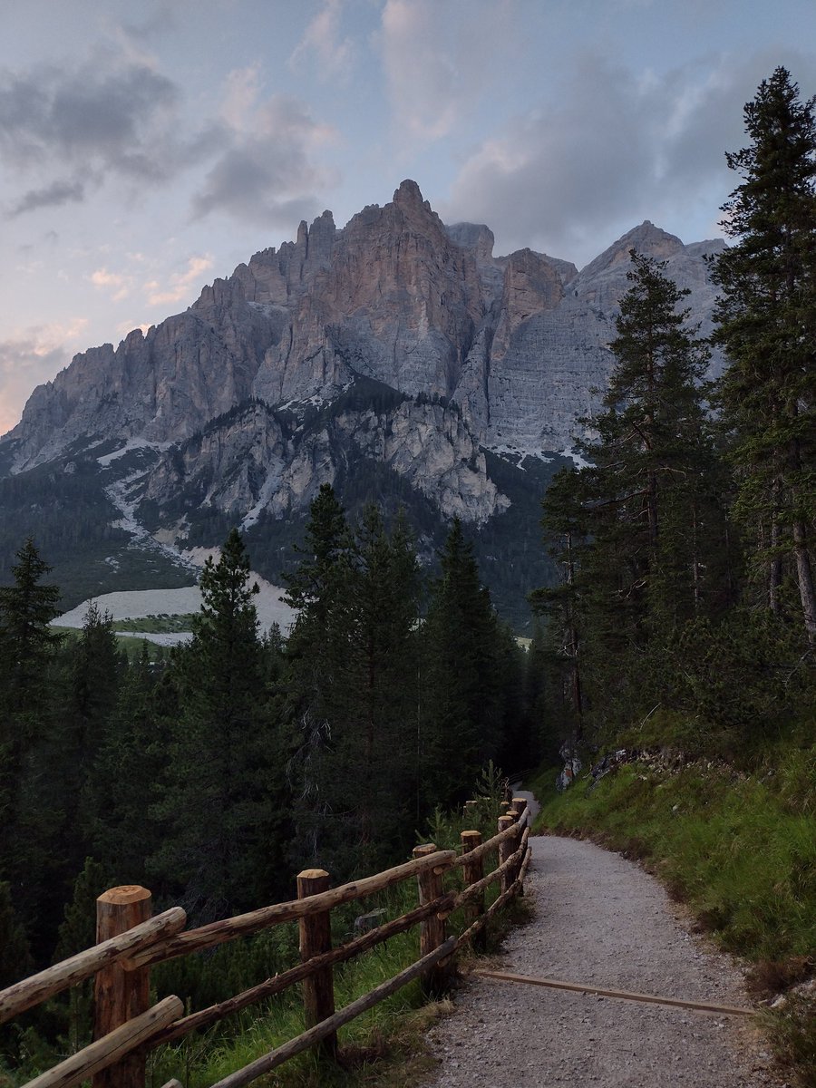 Pecca 🦇 tweet media