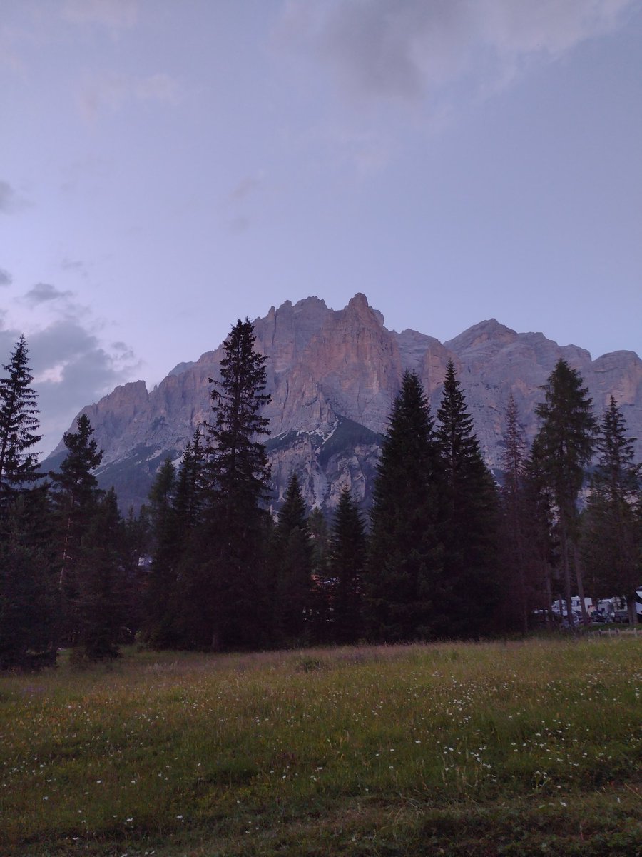 Pecca 🦇 tweet media