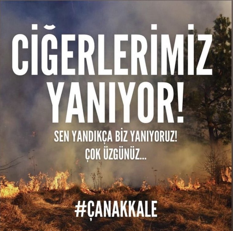 cemresuakdogan's tweet photo. #Canakkale #yangin @haluklevent @OguzhanUgur https://t.co/3EQ4D800qO