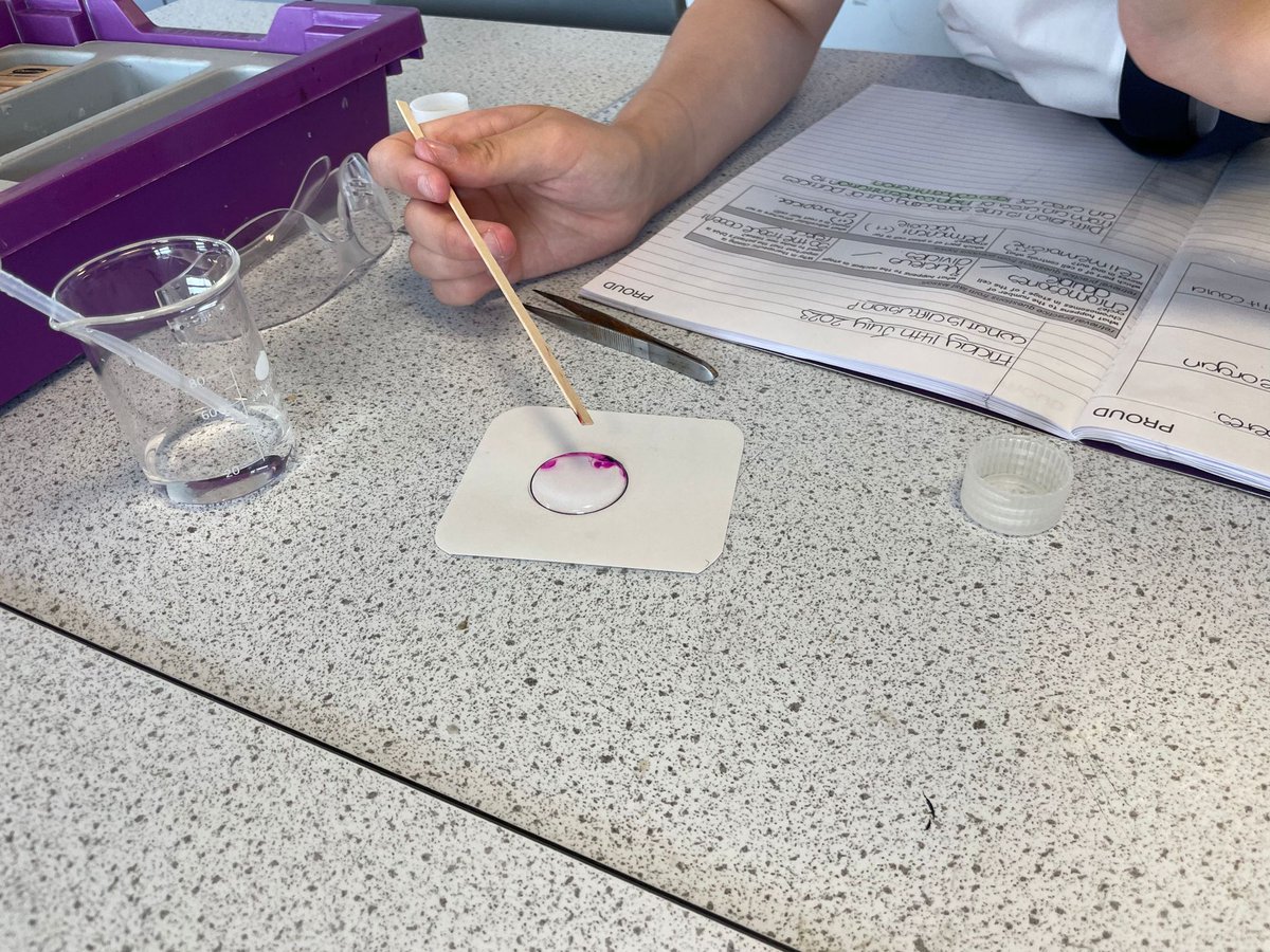 FreebroughAcad's tweet image. 🧫 Miss Walker was hugely impressed with the work of her 10x/Sc3 science group last week, who created some fantastic examples diffusion using microscale chemistry. 🧫

#wearefreebrough #proud #outcomesfocused