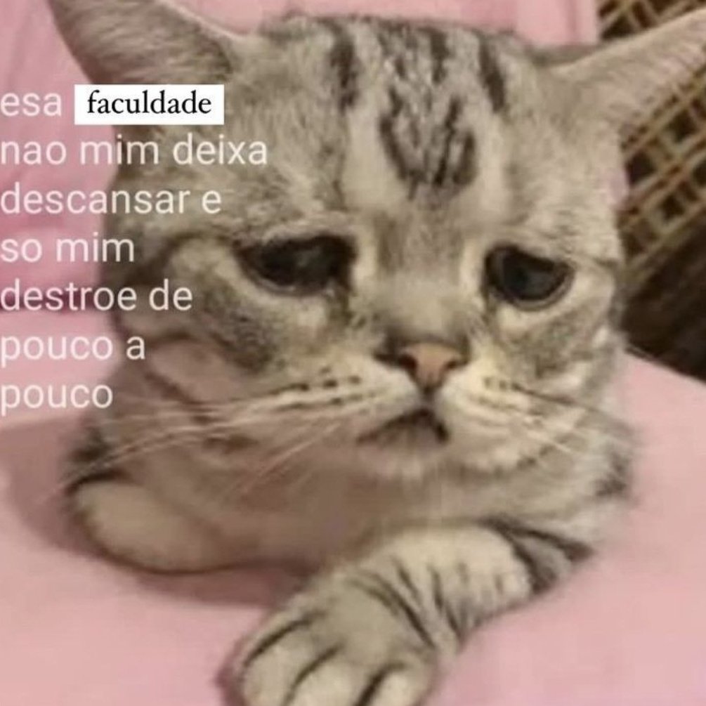 bunnny_rk's tweet photo. acho q o objetivo da minha faculdade é me fazer ter todos os transtornos possiveis pra quando eu me formar e ser psicóloga ja saber como ajudar as pessoas https://t.co/IR1w30ZTrD