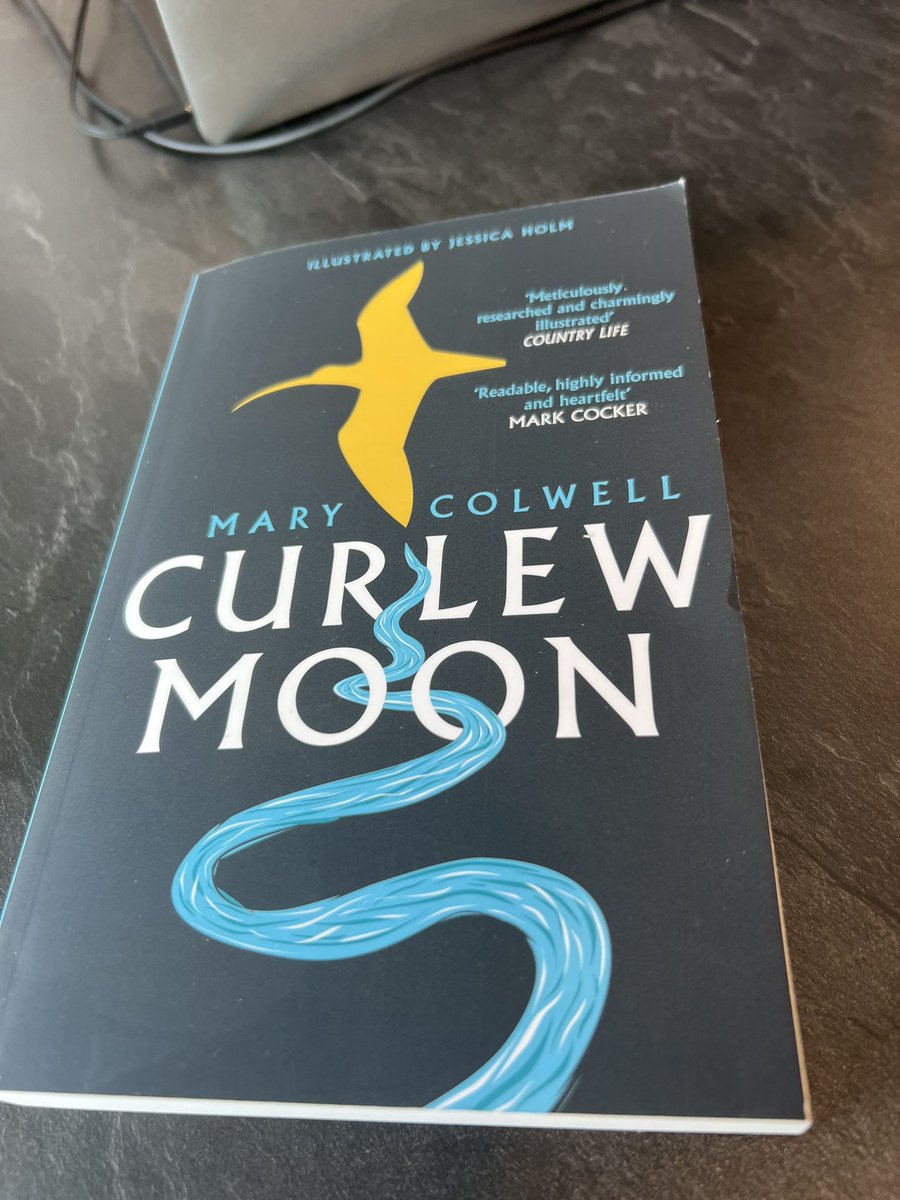 A little airport reading while waiting on the last leg home