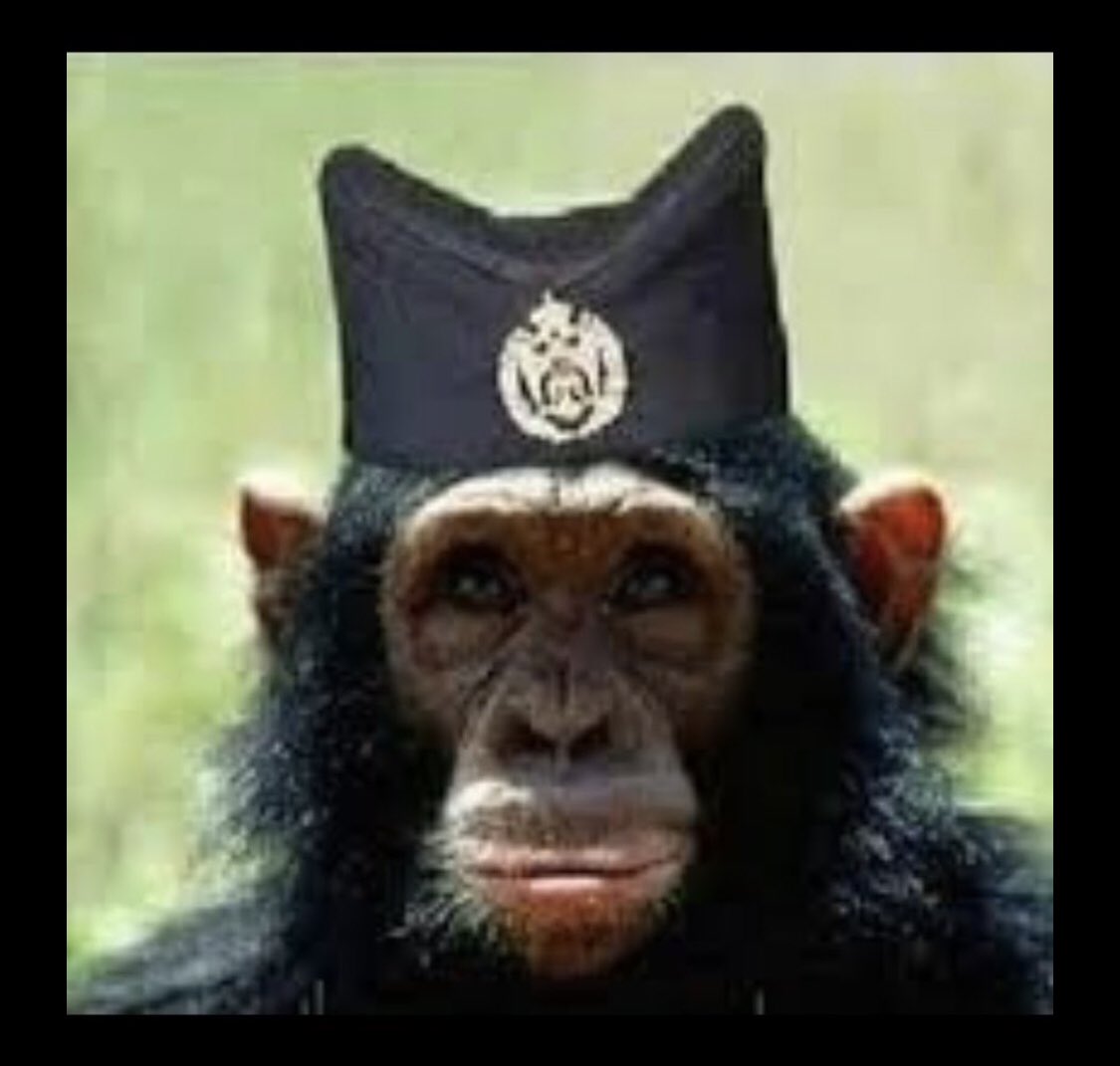 <a href="/ShpendA/">Shpend Ahmeti</a> Sikur neser me ndodh me na njoft Serbia keta legena kan prap mu qu kunder kesaj Qeverie dhe me thon Jo nuk e pranojn se kan be marrveshje me Beogradin Jo me Afganistanin per me na njoft Serbia.! A keni gjak shqiptari o ftyre majmuna te Kraleves?