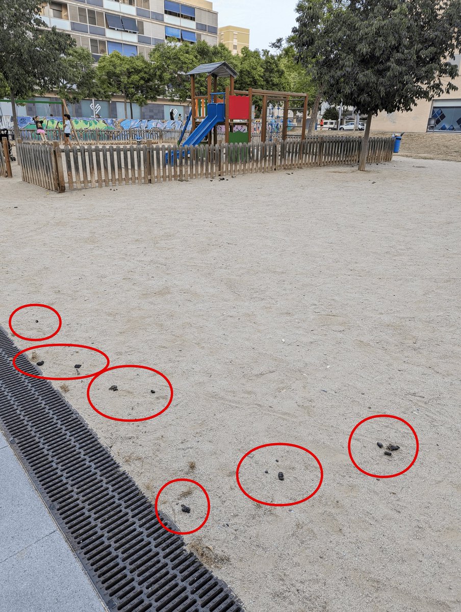 danivfe's tweet photo. És incomptable el nombre de merdes a tocar del parc infantil. Indignant. https://t.co/Hn26Ynf1At