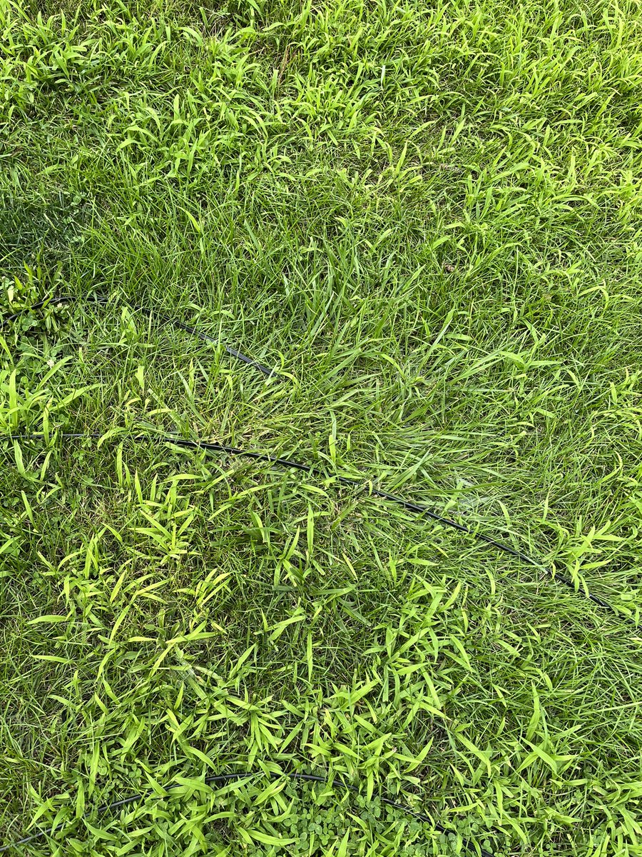 When <a href="/comcast/">Comcast</a> tells you the technicians is outside working on the issue. Maybe they’re hiding inside the downed trees?