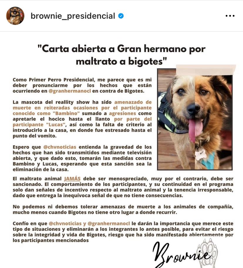 Salvandopatit4s's tweet photo. No somos los únicos preocupados por Bigote!!! https://t.co/TmM3sJAMIU