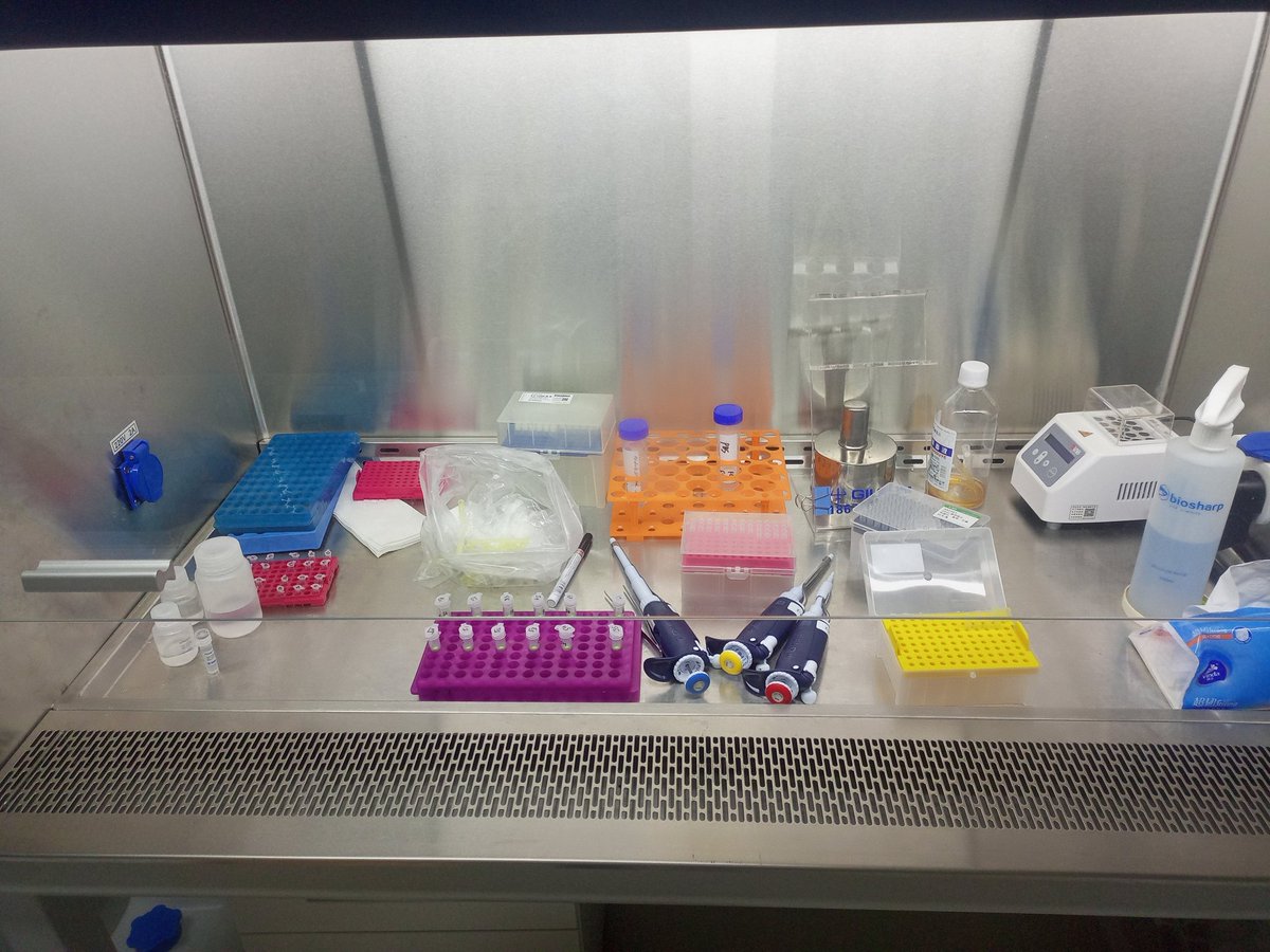 Muhamma32806873's tweet photo. Wuhan Institute of Virology CAS China
#Wuhan 
#Phd life https://t.co/XP8K5aDuAm