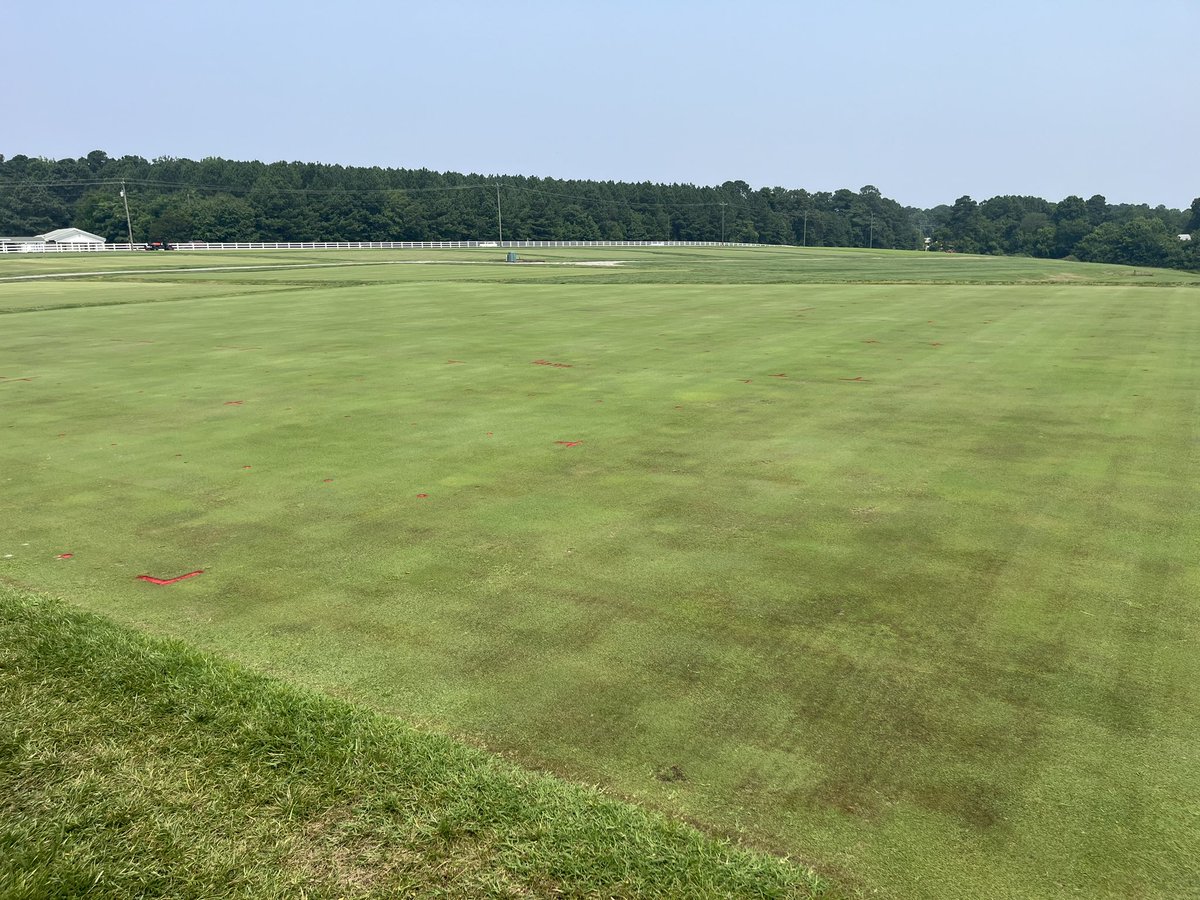 🚨 Bentgrass managers in North Carolina🚨Pythium root rot is raging at the research farm. Hope you all have your best PRR apps on the ground. Survive and advance!