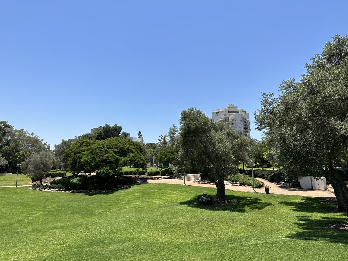 Frederic Buemi tweet media