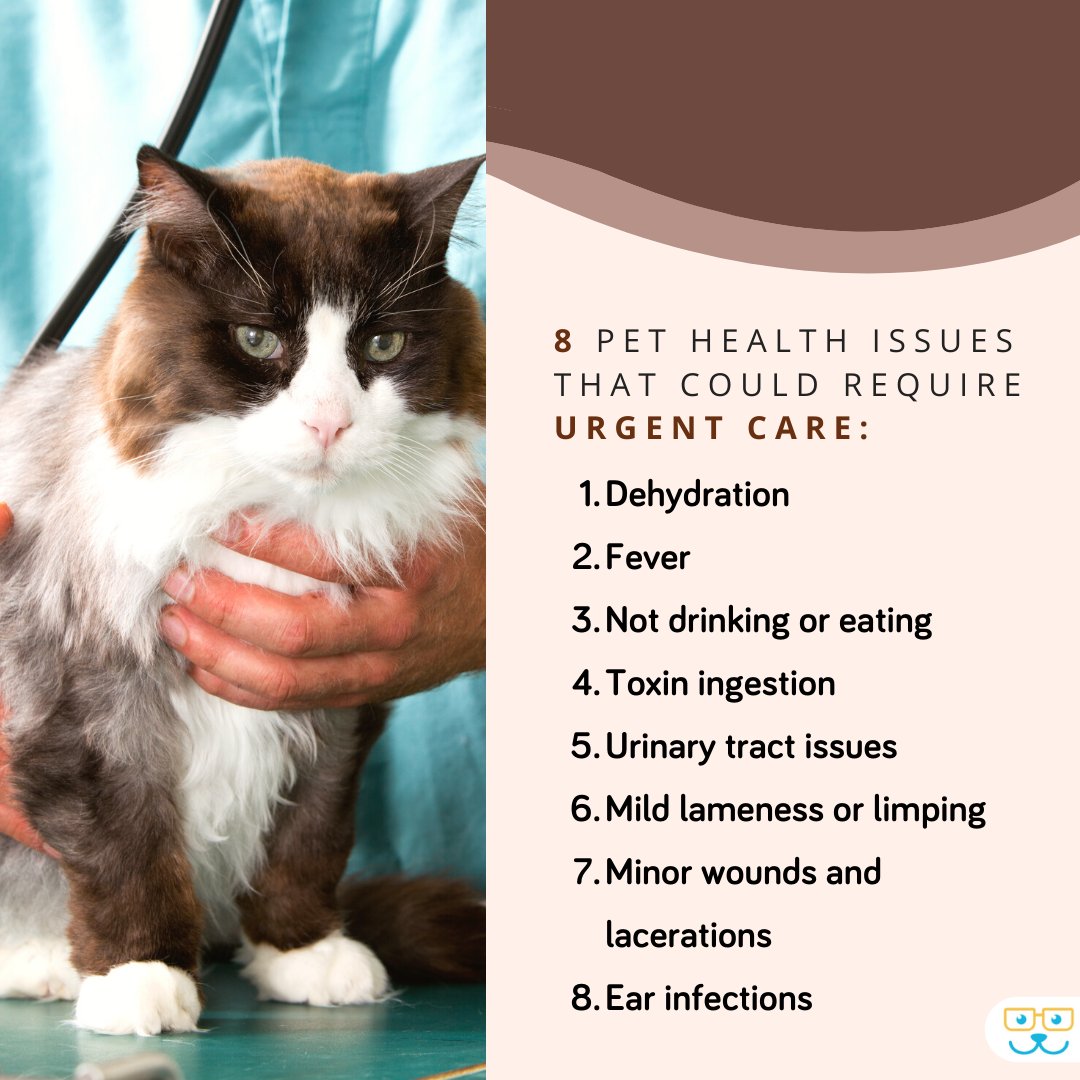 Do you know what health issues in your pet might require urgent care? Check out this list. 

#urgentpetcare #emergencypetcare #carlislevet