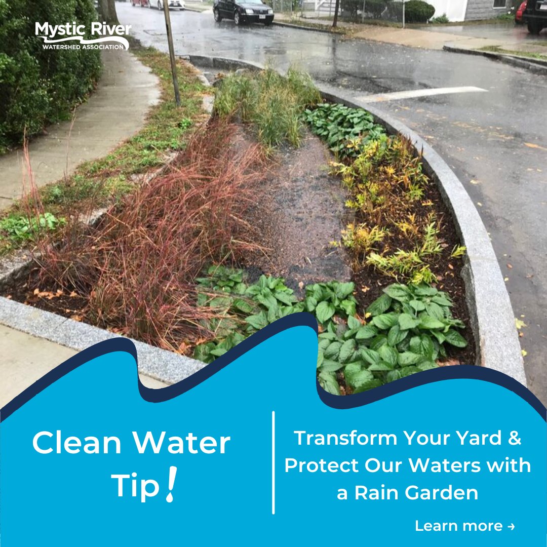 Melrose DPW tweet media