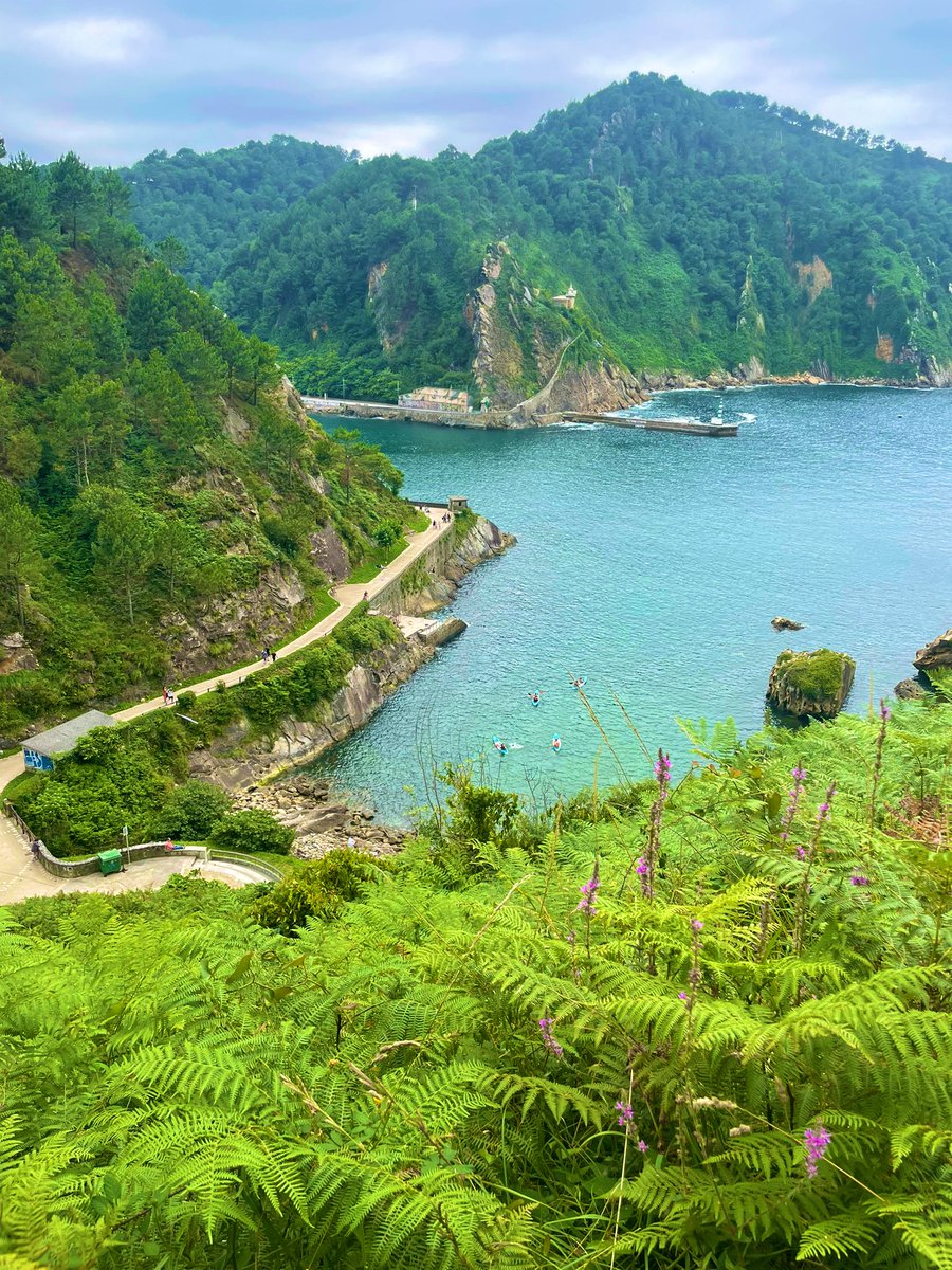 Pasaia, Euskadi.📍🏝🌶