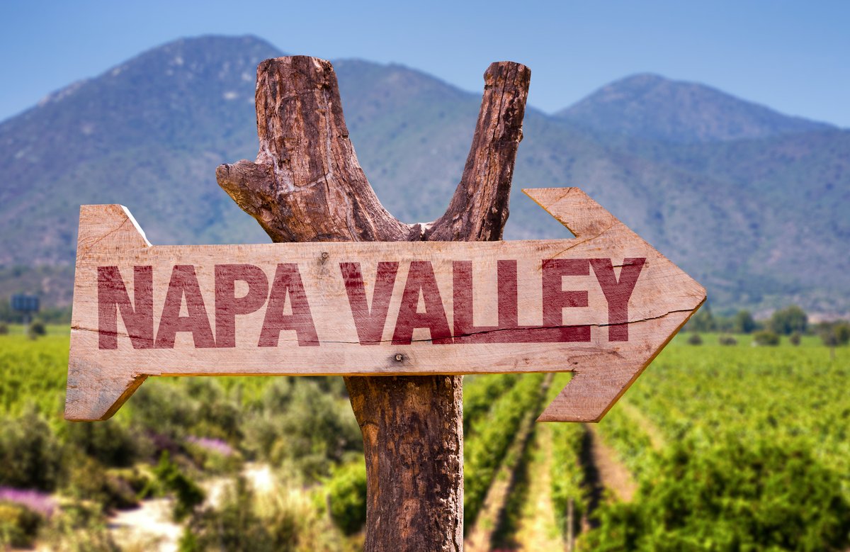 SupportCali's tweet image. 🍇 Cheers to Napa Valley! Indulging in the finest wines, touring picturesque vineyards, and savoring exquisite culinary delights. A wine lover's paradise. 🍷🌿 

#NapaValley #WineTasting