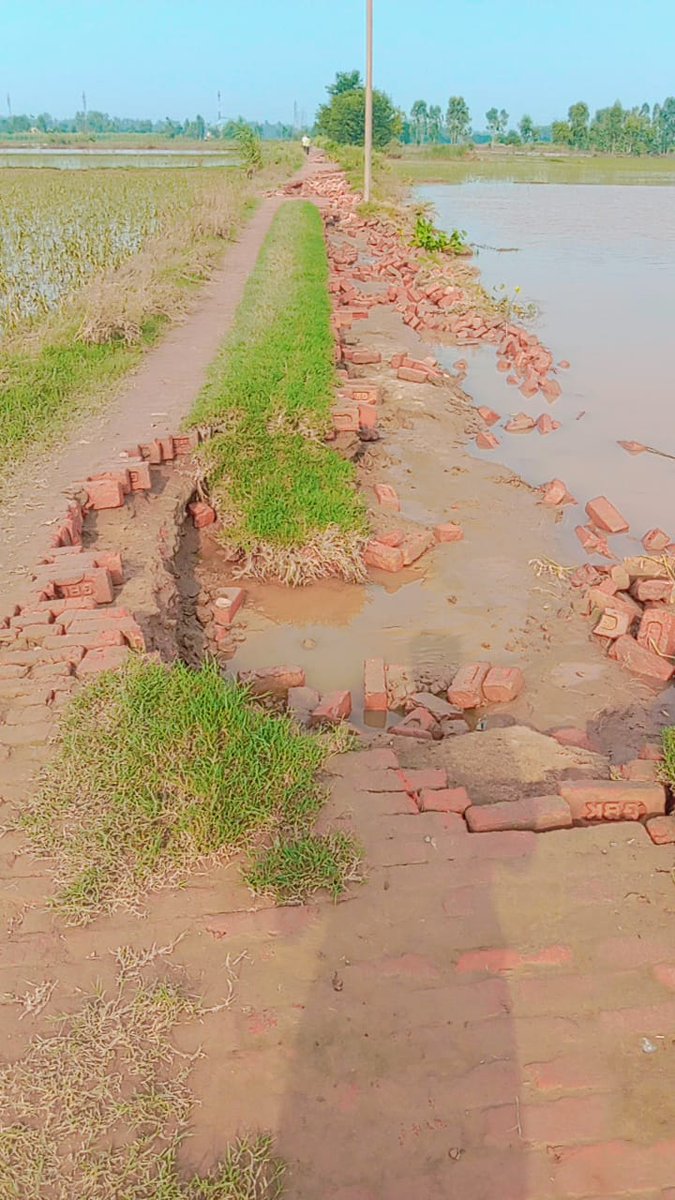harshthind51's tweet photo. @cmohry ये हमारे गांव तंदवाल बराड़ा कि की तरफ जाने वाली में सड़क है यहां कई दिनों से पानी आ रहा है पर पीछे से पानी बंद नहीं किया जा रहा है ना् सरकारी अफसर इसका कोई संज्ञान ले रहे है आसपास के दर्जनों गांव इस पानी की वजह से डूबे हुए हैं और गांव के रास्ते कटे हुए हैं प्लीज कुछ कीजिए https://t.co/1ddR0J7gxx