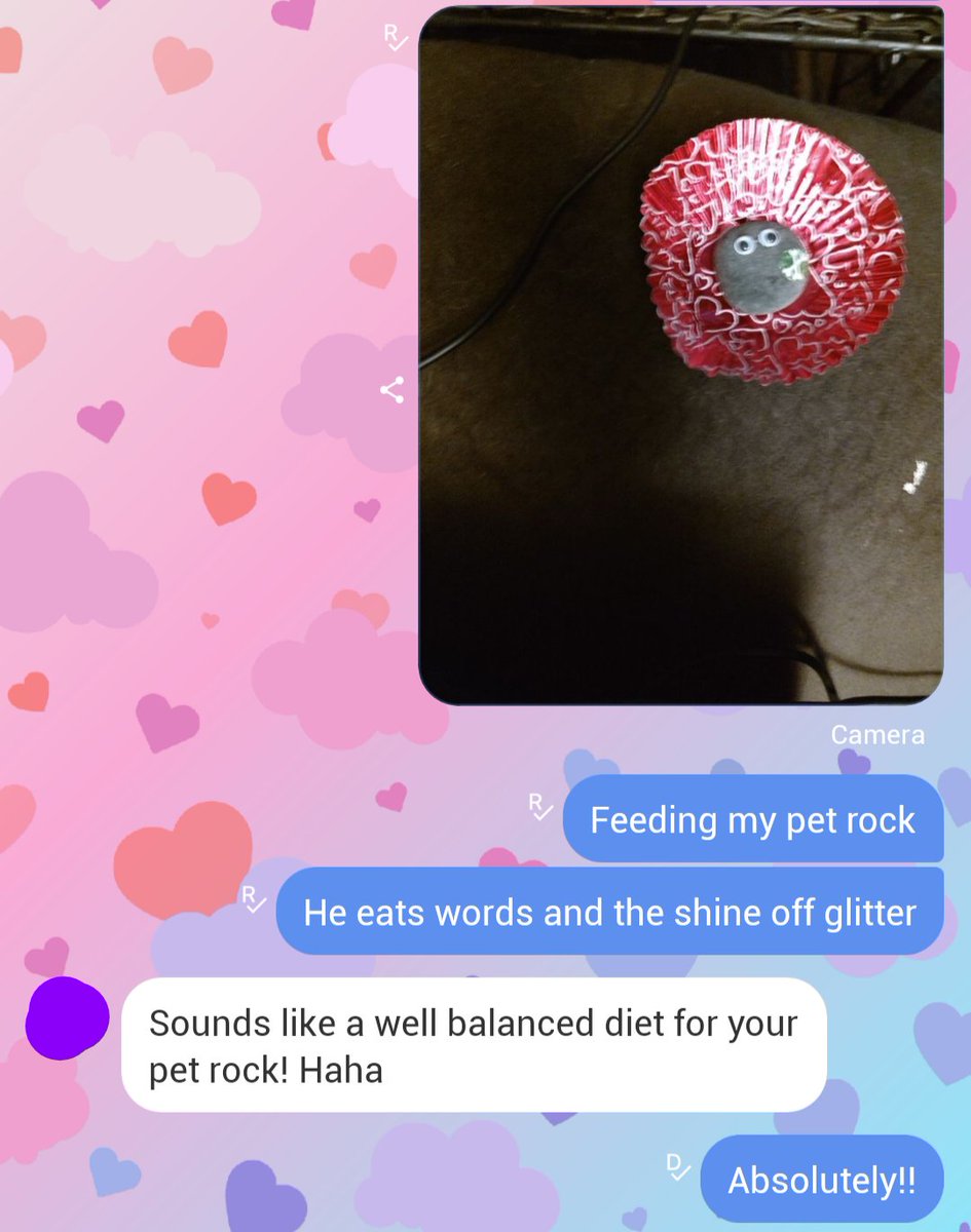 VBT_Official's tweet photo. #amwriting a very special piece for a birthday friend.

My pet rock was adopted by me at a #NANOWRIMO party, and I was given care and feeding instructions at that time. https://t.co/8kWe8cj4gi