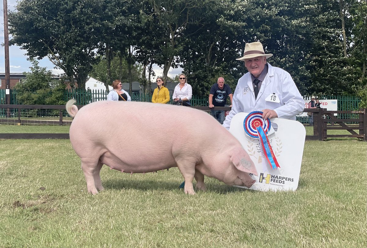 Congratulations to Julian Collings, our Chief Pig Steward, at the @greatyorkshow last week. Not only did Julian, secure the Interbreed Supreme Championship... ...but took the coveted title of the BPA Pig of the Year 2023. The first time that a British Lop has won it!