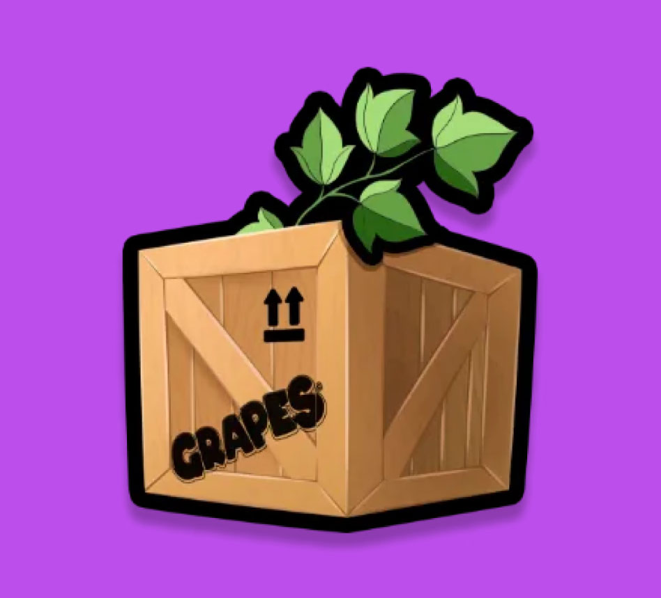 Spend your bunches to open the crates…

Hold your bunches and stack your $GrapeCoin…

Are you ready to make that decision?