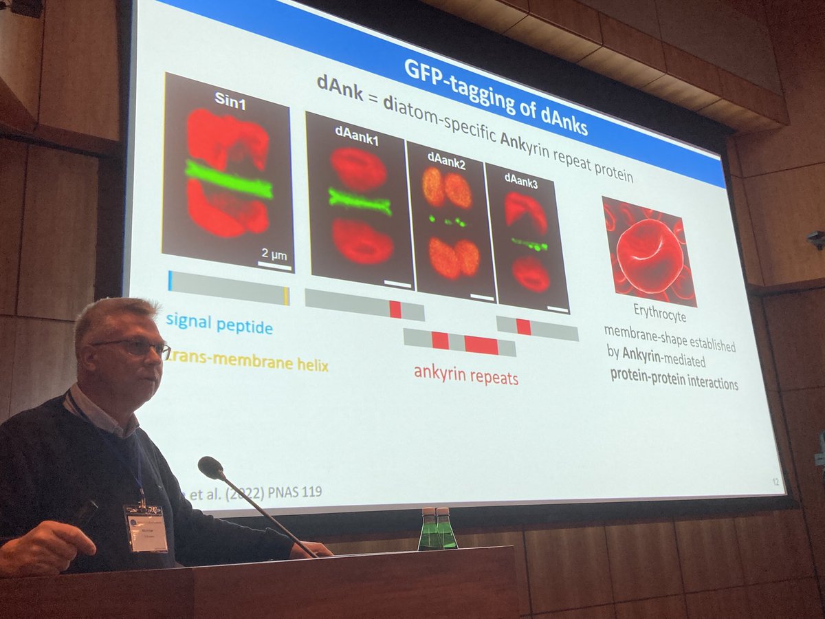 Thomas Mock (@th_mock) on Twitter photo <a href="/kroeger_nils/">Nils Kröger</a> on dAnks and other proteins involved in the formation of the #diatom cell wall #MLD7 kicking off the first session. <a href="/kroeger_nils/">Nils Kröger</a> on dAnks and other proteins involved in the formation of the #diatom cell wall #MLD7 kicking off the first session.