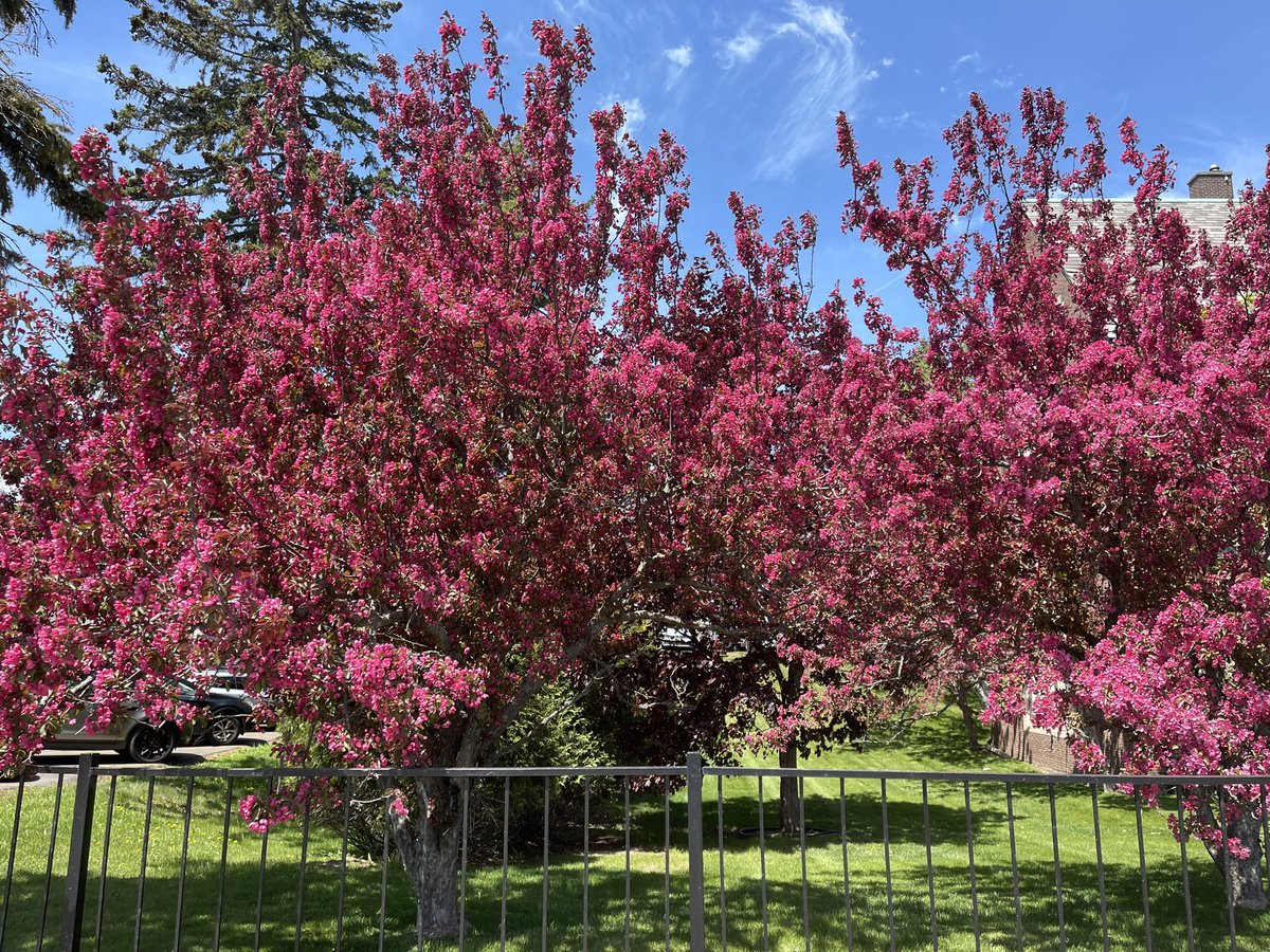 Kanika Basak tweet media