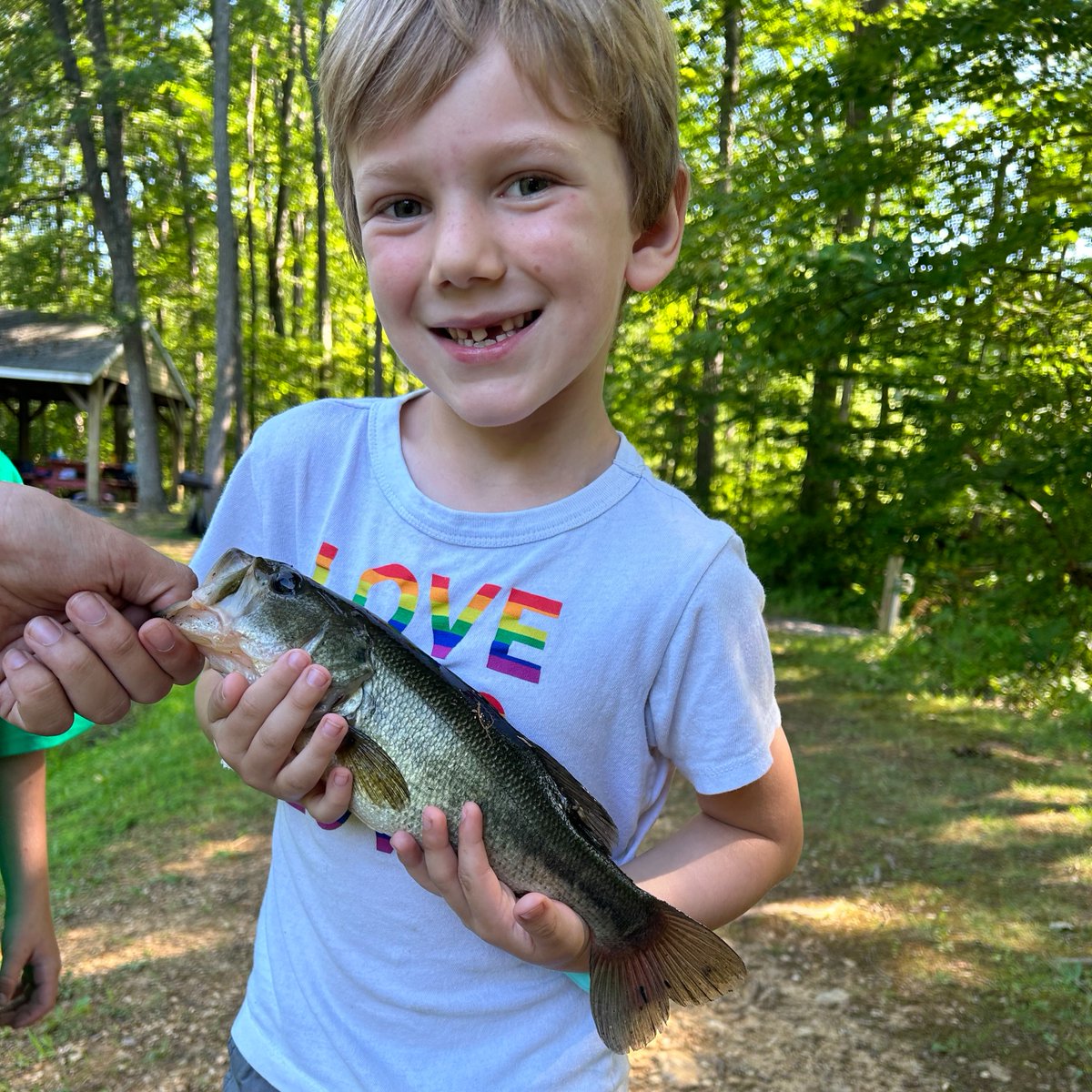 YMCAofFREDERICK's tweet photo. Campers at Camp West Mar are having a great summer! 

#YMCA #Community #YouthDevelopment #Summer #Camp https://t.co/Oxpu9DK1EE