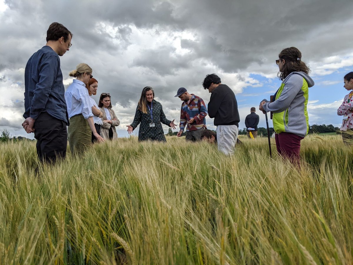 Kathleen Salter tweet media