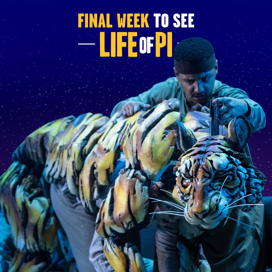 This is the FINAL WEEK to join us on our journey and experience the wonder of #LifeOfPiBway. Get your tickets here: bit.ly/3rfyxkk ✨🐅