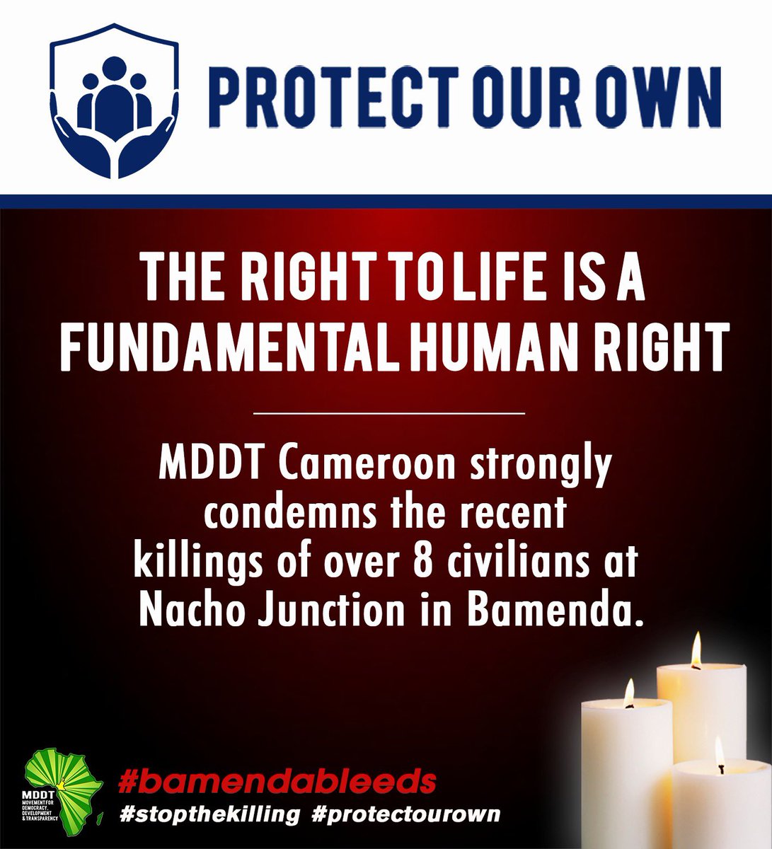 mddt cameroon tweet media
