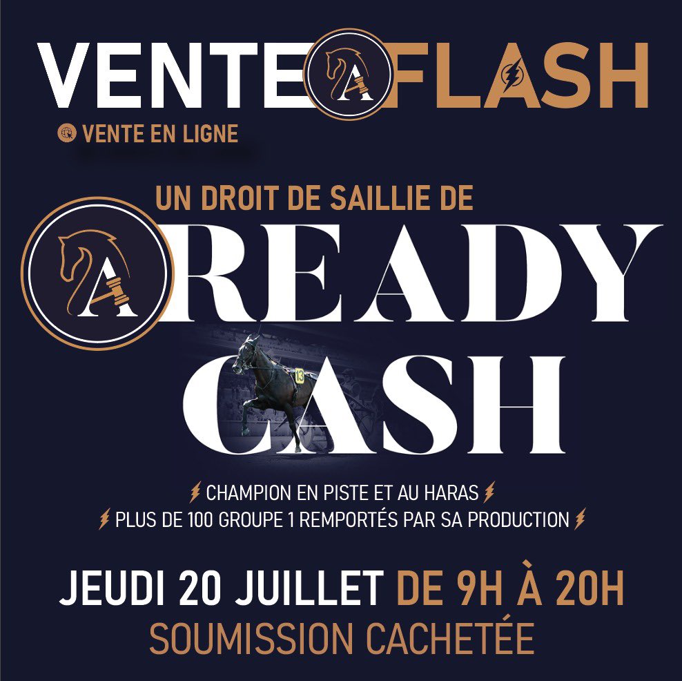 AuctavSales's tweet photo. J-3 . VENTE FLASH ⚡️ ÉVÉNEMENT 
Droit de saillie du roi des étalons READY CASH en soumission cachetée le 20 juillet de 9h à 20h
👉🏻 sur https://t.co/cbXR8XFSNu https://t.co/WbMOHvBOYN