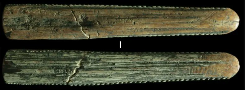 This worked stingray spine on Woeydhul Island in the Western #TorresStrait was used in the rituals of a secret society with a 700 year history! 🤐

🔗 from 2021 (£) buff.ly/46xDyVu