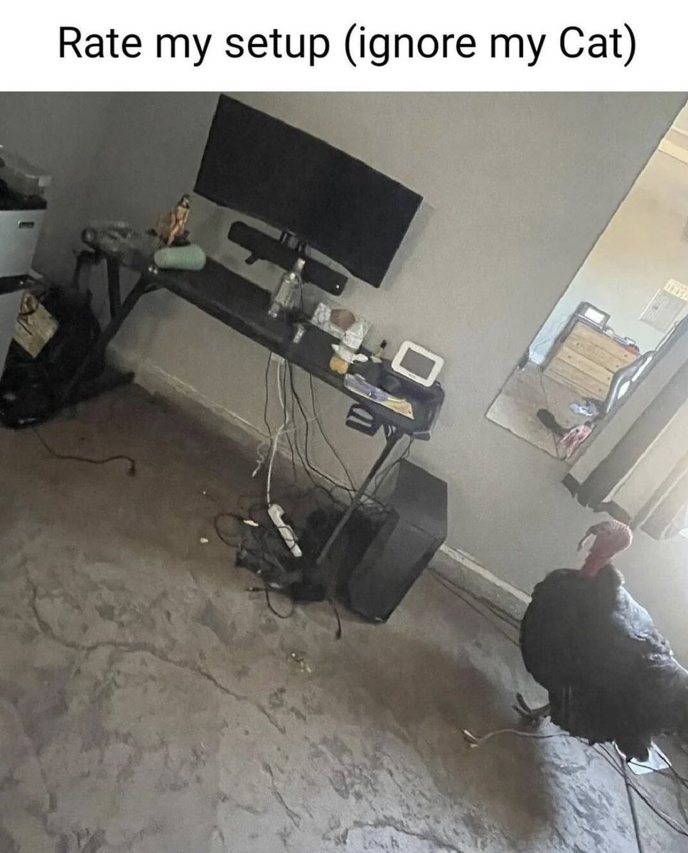 CriteriaMiami's tweet photo. #mememonday
I think dude has bigger problems then his set up.
.
.
.
#producer #diy #homestudio #engineer #productionsetup #recording #recordingstudio
Rp@music_producer_memes https://t.co/MA6GCE5FRe