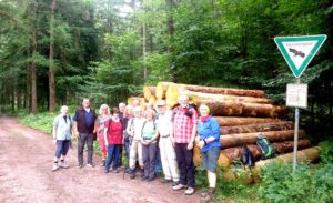 MengedeI's tweet photo. Bericht von der Wanderung im Naturpark Hohe Mark

Von Lothar Splisteser
Aus organisatorischen Gründen musste die Juli-Wanderung um eine Woche vorverlegt werden und fand schon in der letzten Juni-Woche am 29.6. statt.

https://t.co/Wx707F3yV5 https://t.co/dM2vz54sFU