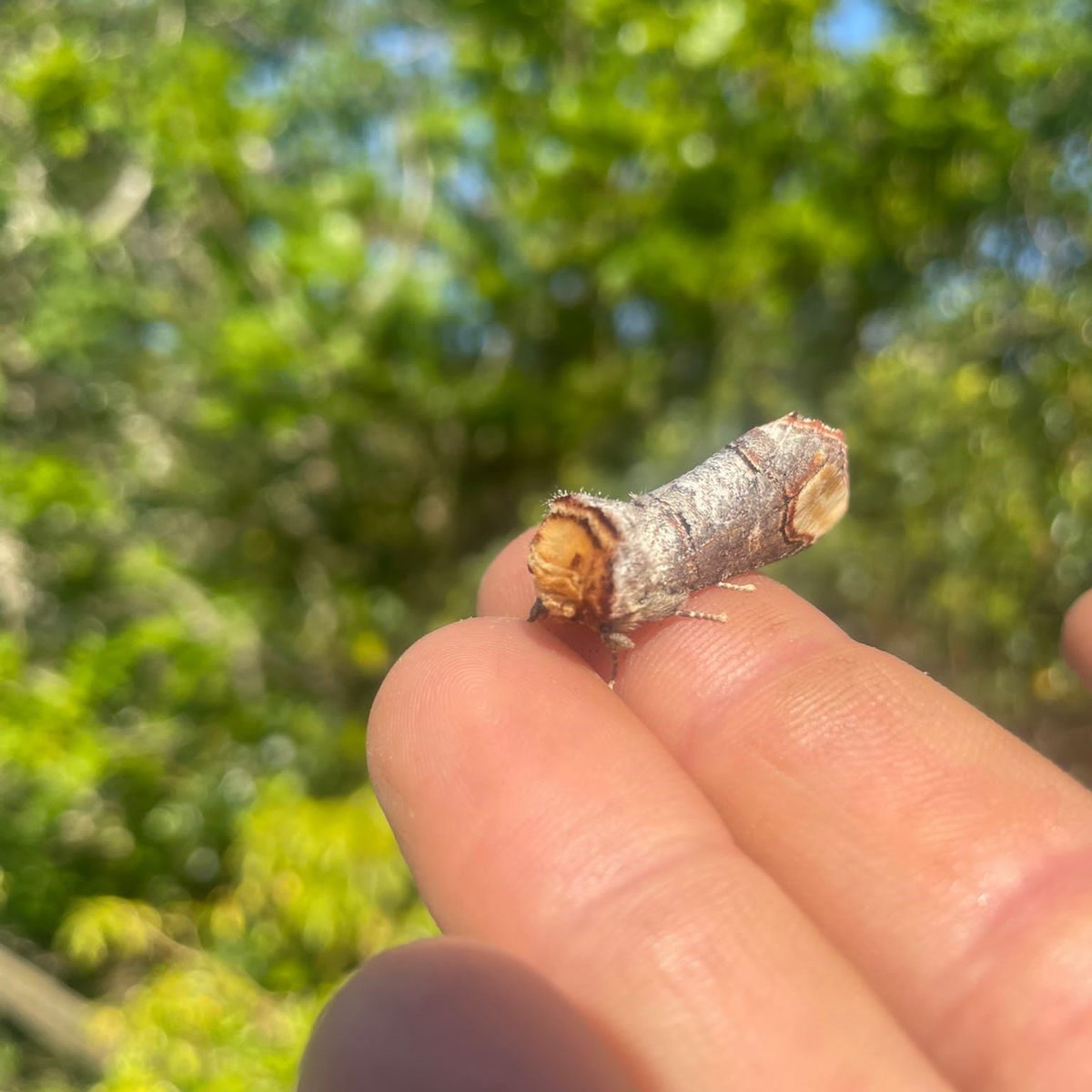 SEA LIFE Trust tweet media